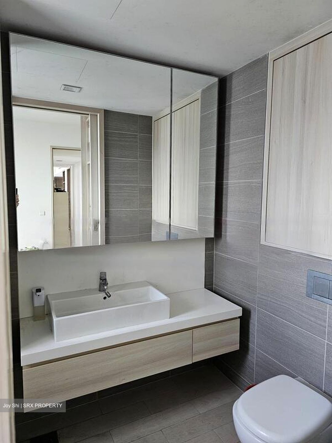The Panorama (D20), Condominium #438524711